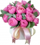 Сильвiя Незрівнянна - варіанти від 5 до 25