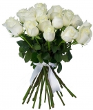 Classic White Roses,  From 7 to 101