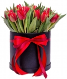 Червоні Тюльпани в капелюшнiй коробці