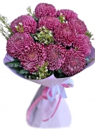 Dark Pink Summer-Autumn