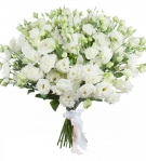 White Eustoma - a Simple Luxury from 7 to 33