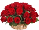 9-101 Red Classic Roses Basket