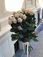 Elite Long Stem Peach Roses, From 5 to 101 image 0