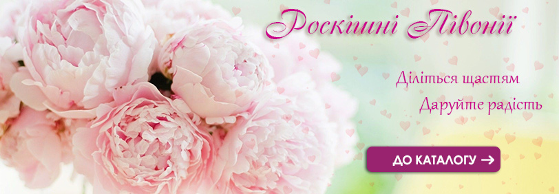PeonyFlowers