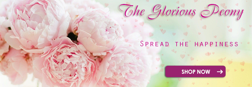 PeonyFlowers