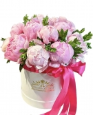 17 Peonies at a Hat Box