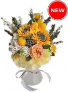 Beautiful Zephyr delicacy, 5 sizes