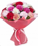 Carnations bouquet