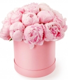 Pink Peonies Box, 8 options