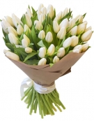 Белые тюльпаны - Букеты от 11 до 101