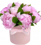 11 Peonies at a Hat Box