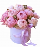 15 Peonies at a Hat Box