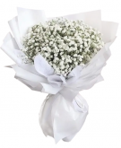 Gypsophila - Tender Bouquet