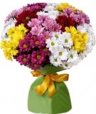 Фейєрверк - букет ромашкових хризантем