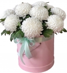 Single-headed Chrysanthemums