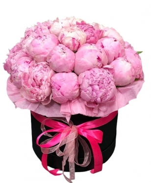 29 Peonies at a Hat Box