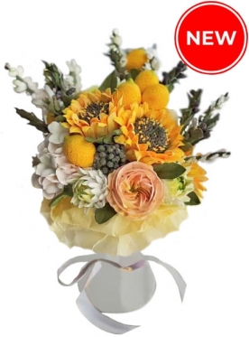 Beautiful Zephyr delicacy, 5 sizes