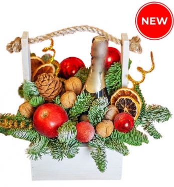 Christmas & New Year celebration