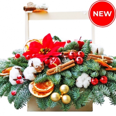 Christmas Star & more - Basket Arrangement