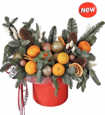 Tangerines + Christmas Arrangement