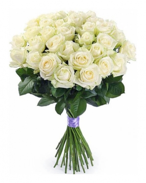 Classic White Roses,  From 7 to 101