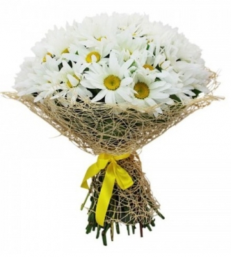 The Bouquet of Daisies