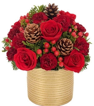 Різдвяний настрій