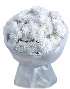 Chrysanthemums "Baltica" Bouquet