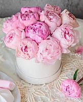 Pink Peonies Box, 8 options image 0